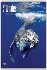 Whales 2017 Calendar