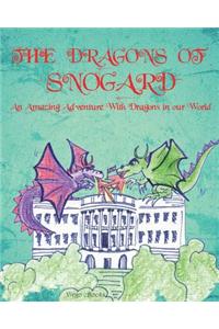 Dragons of Snogard