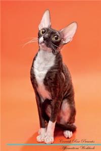 Cornish Rex Affirmations Workbook Cornish Rex Presents