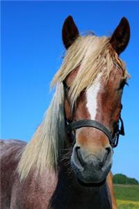 Portrait of a Horse Named Blaze Journal