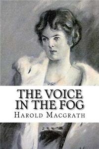 The voice in the fog