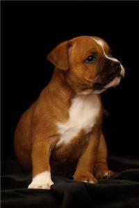 Little Staffordshire Bull Terrier Puppy Dog Pet Journal