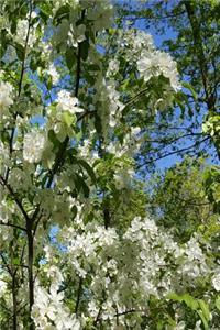 Beautiful Springtime Flowering Tree Journal