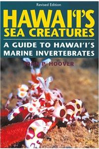 Hawaii's Sea Creatures
