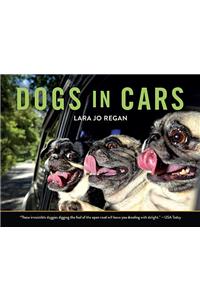 Dogs in Cars