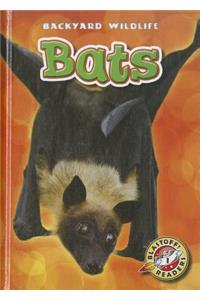 Bats