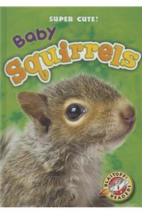 Baby Squirrels