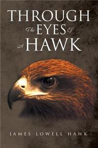 Through The Eyes Of A Hawk