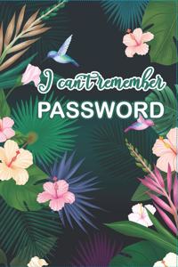 I Can't Remember Password