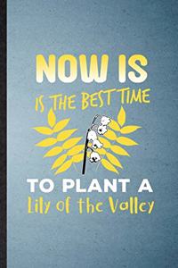 Now Is the Best Time to Plant a Lily of the Valley