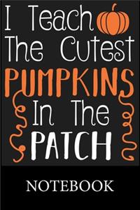 I Teach The Cutest Pumpkins In The Patch Notebook