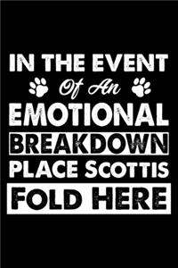In The Event Emotional Breakdown Place Scottish Fold Here