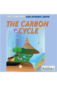 Carbon Cycle