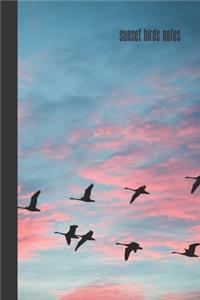 Sunset Birds Notes