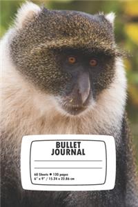 Bullet Journal