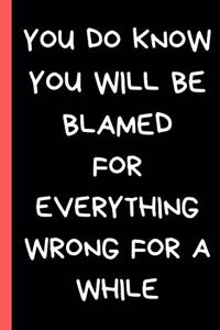 You Do Know You Will Be Blamed For Everything Wrong For A While