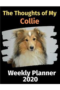 The Thoughts of My Collie