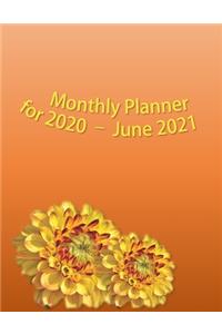 Monthly Planner for 2020 - June 2021