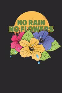 No Rain No Flowers