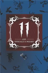 11 And Officially A Wizard