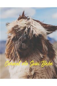 Carnet de Suivi Bébé