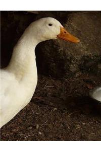 Duck Notebook Large Size 8.5 x 11 Ruled 150 Pages Softcover