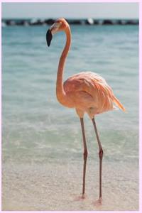 Pink Flamingo Notebook Journal