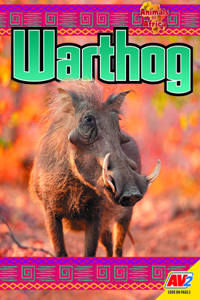 Warthog