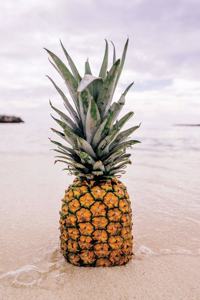 Be a Pineapple Notebook & Journal