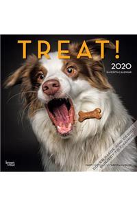 Treat 2020 Square Hachette