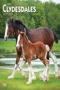 Clydesdales 2022 Square