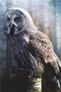 Gray Owl In The Early Morning Light - Lined Notebook with Margins