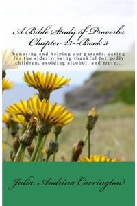 A Bible Study of Proverbs Chapter 23--Book 3