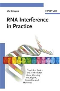 RNA Interference in Practice