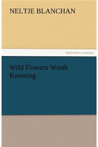 Wild Flowers Worth Knowing