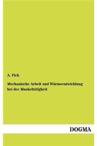 Mechanische Arbeit und Wärmeentwicklung bei der Muskeltätigkeit