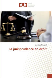 jurisprudence en droit