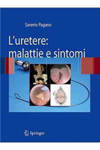 L'Uretere: Malattie E Sintomi