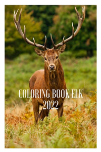 elk