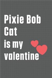 Pixie Bob Cat is my valentine