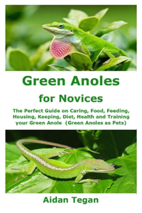 Green Anoles for Novices