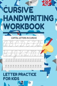 Cursive Handwriting Workbook Letter Practice for Kids