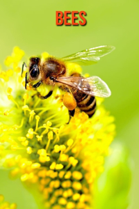 Bees