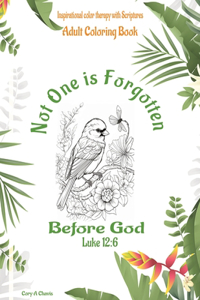 Not one is Forgotten before God: Adult Coloring Book