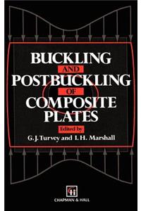 Buckling and Postbuckling of Composite Plates