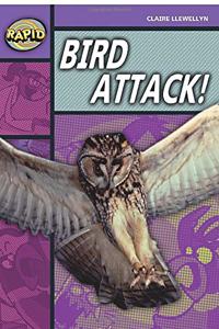 Rapid Reading: Bird Attack! (Stage 1, Level B)