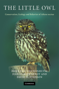 Little Owl