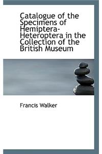 Catalogue of the Specimens of Hemiptera-Heteroptera in the Collection of the British Museum