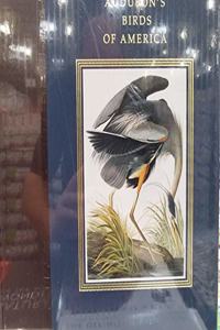 Audubon's Birds of America