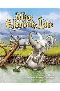 What Elephants Like